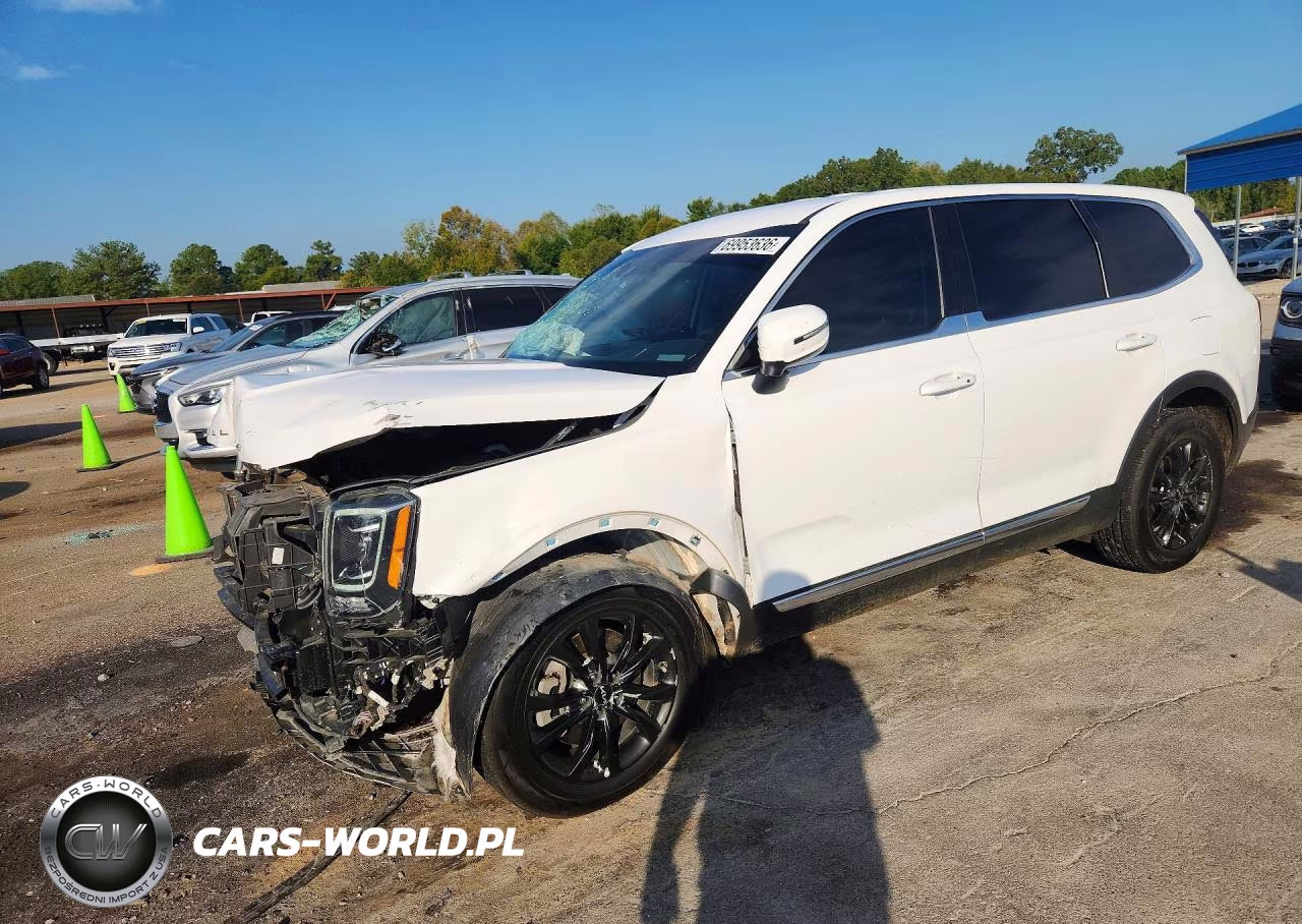 2022 Kia Telluride Lx VIN:5XYP2DHC0NG210064 - 1