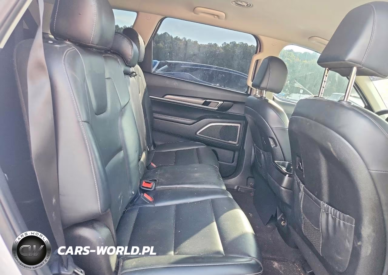 2022 Kia Telluride Lx VIN:5XYP2DHC0NG210064 - 11