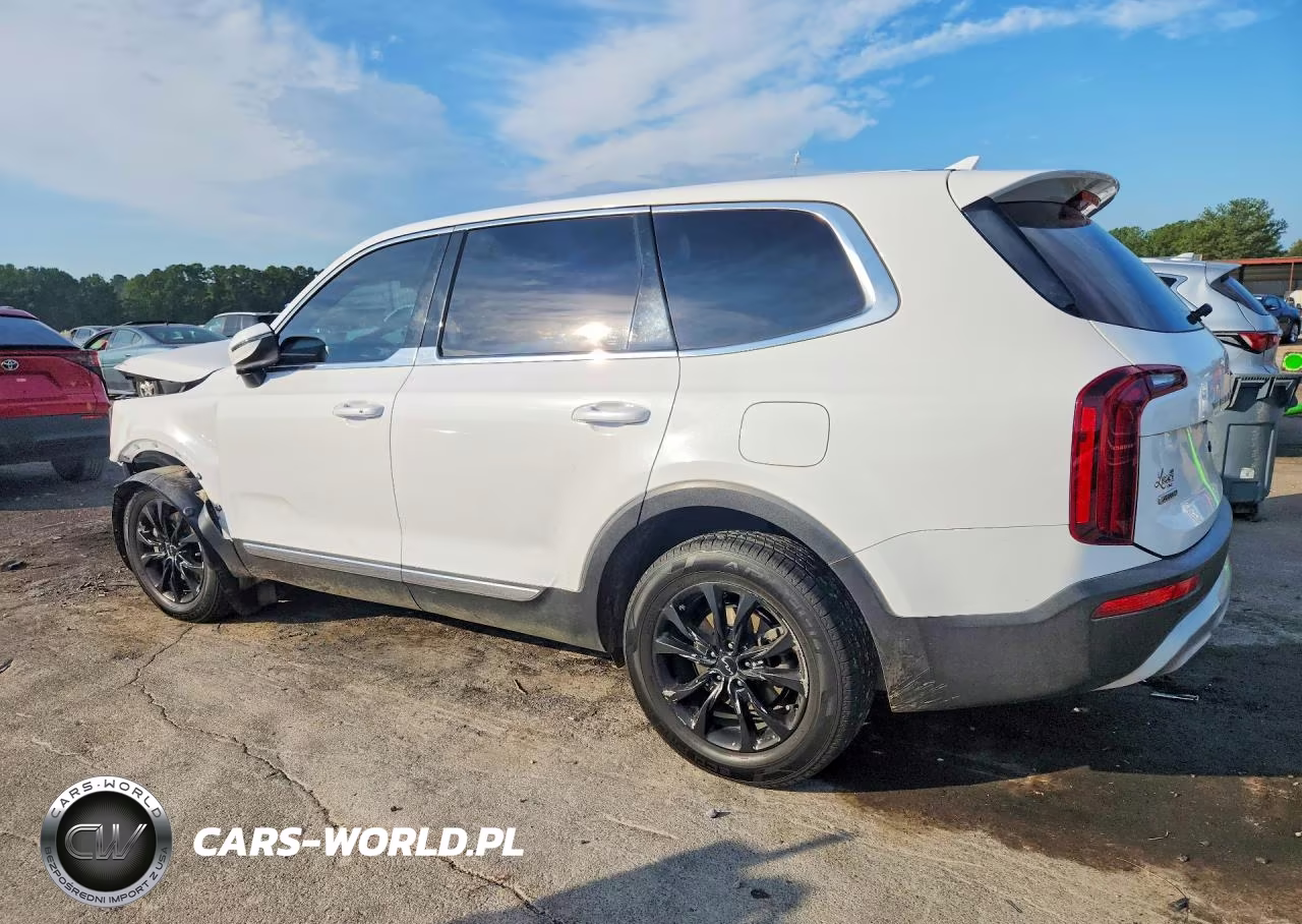 2022 Kia Telluride Lx VIN:5XYP2DHC0NG210064 - 2