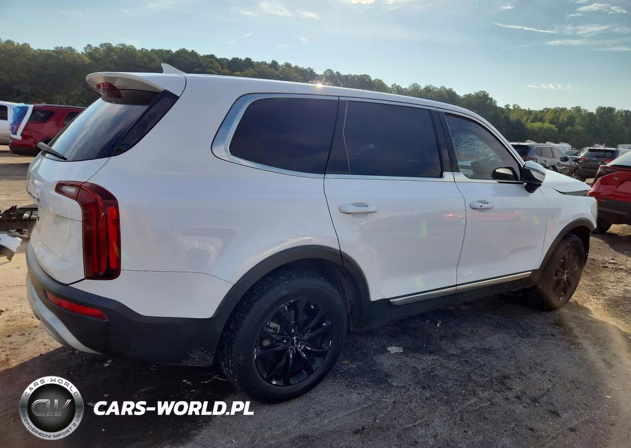 2022 Kia Telluride Lx VIN:5XYP2DHC0NG210064 - 3