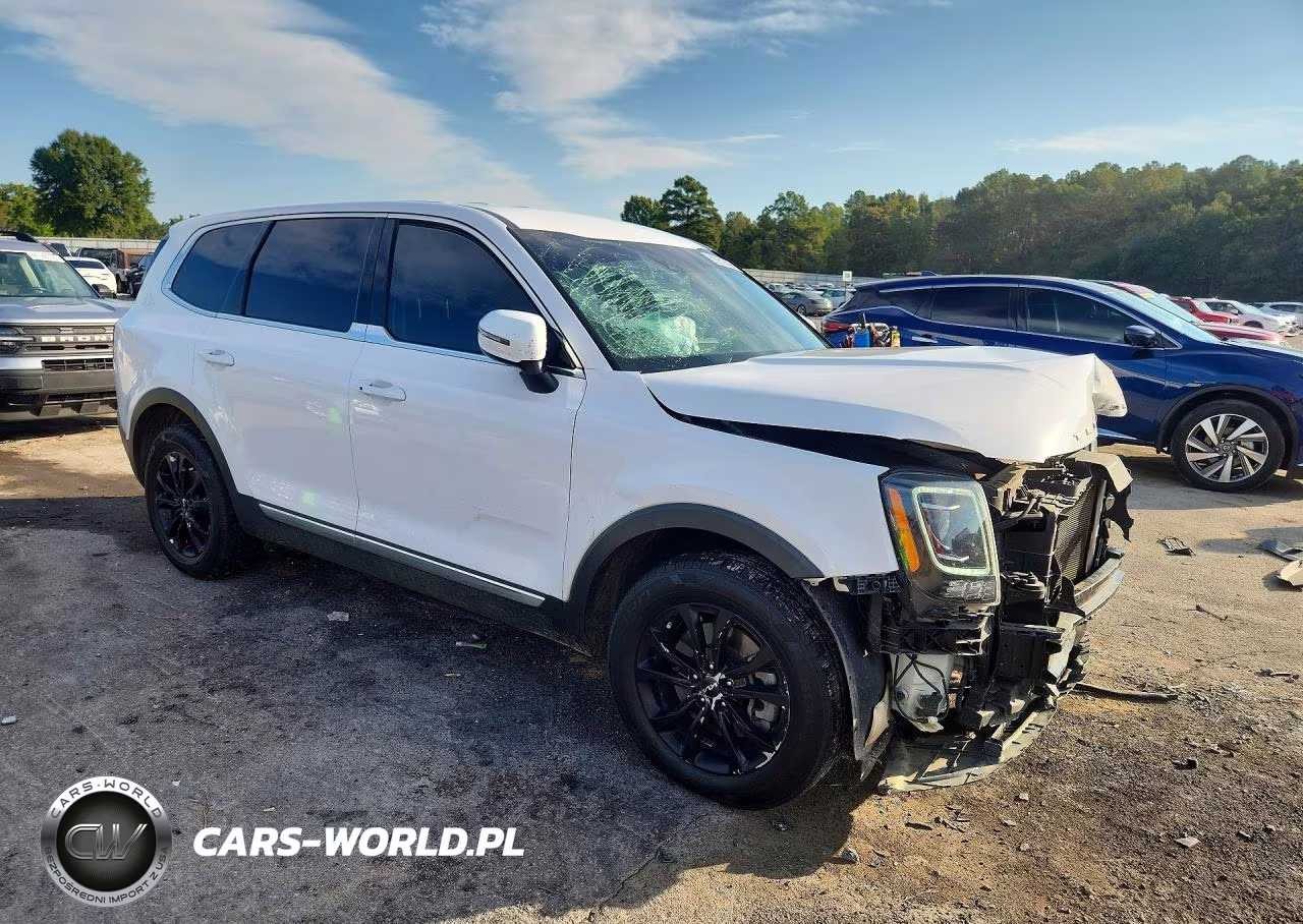 2022 Kia Telluride Lx VIN:5XYP2DHC0NG210064 - 4
