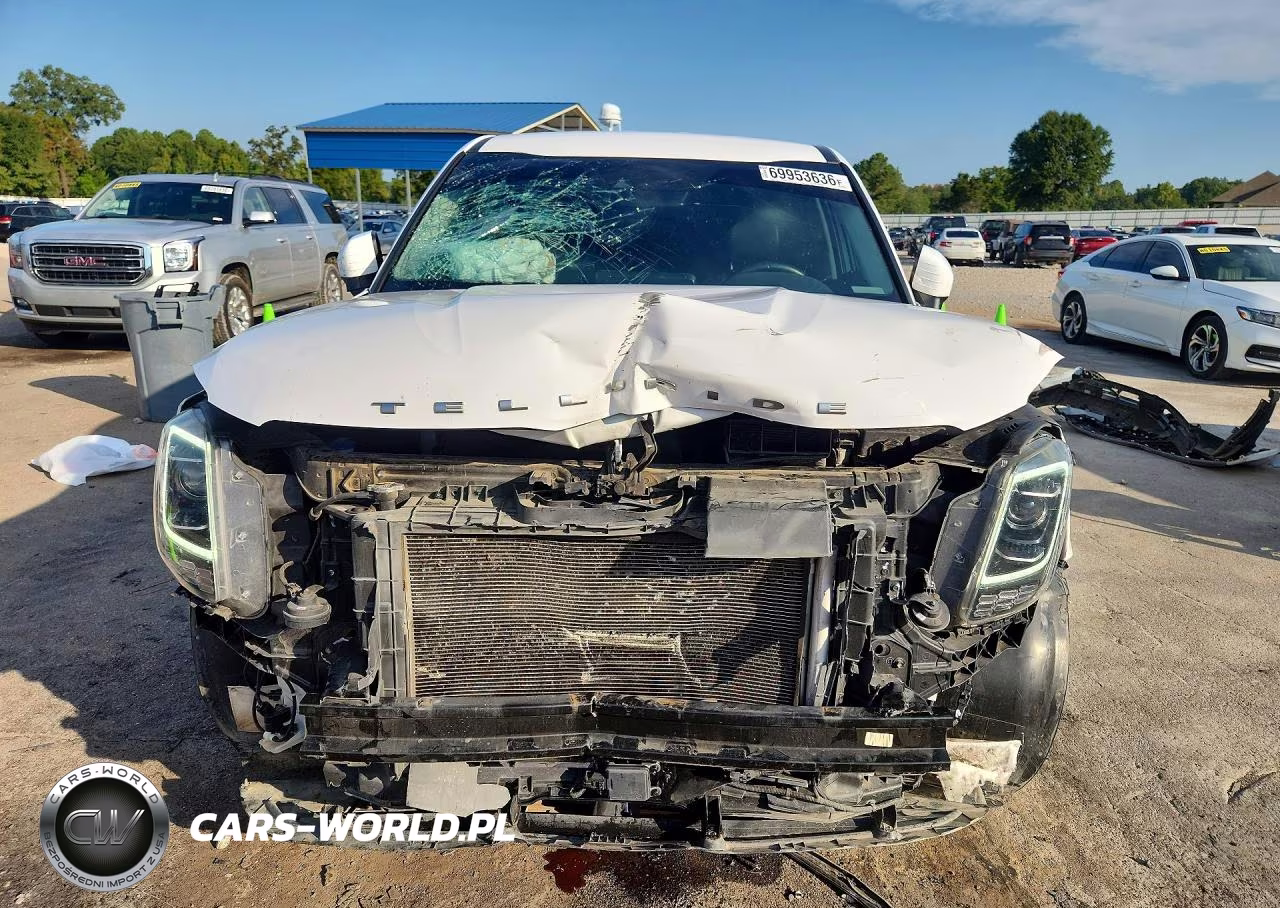 2022 Kia Telluride Lx VIN:5XYP2DHC0NG210064 - 5
