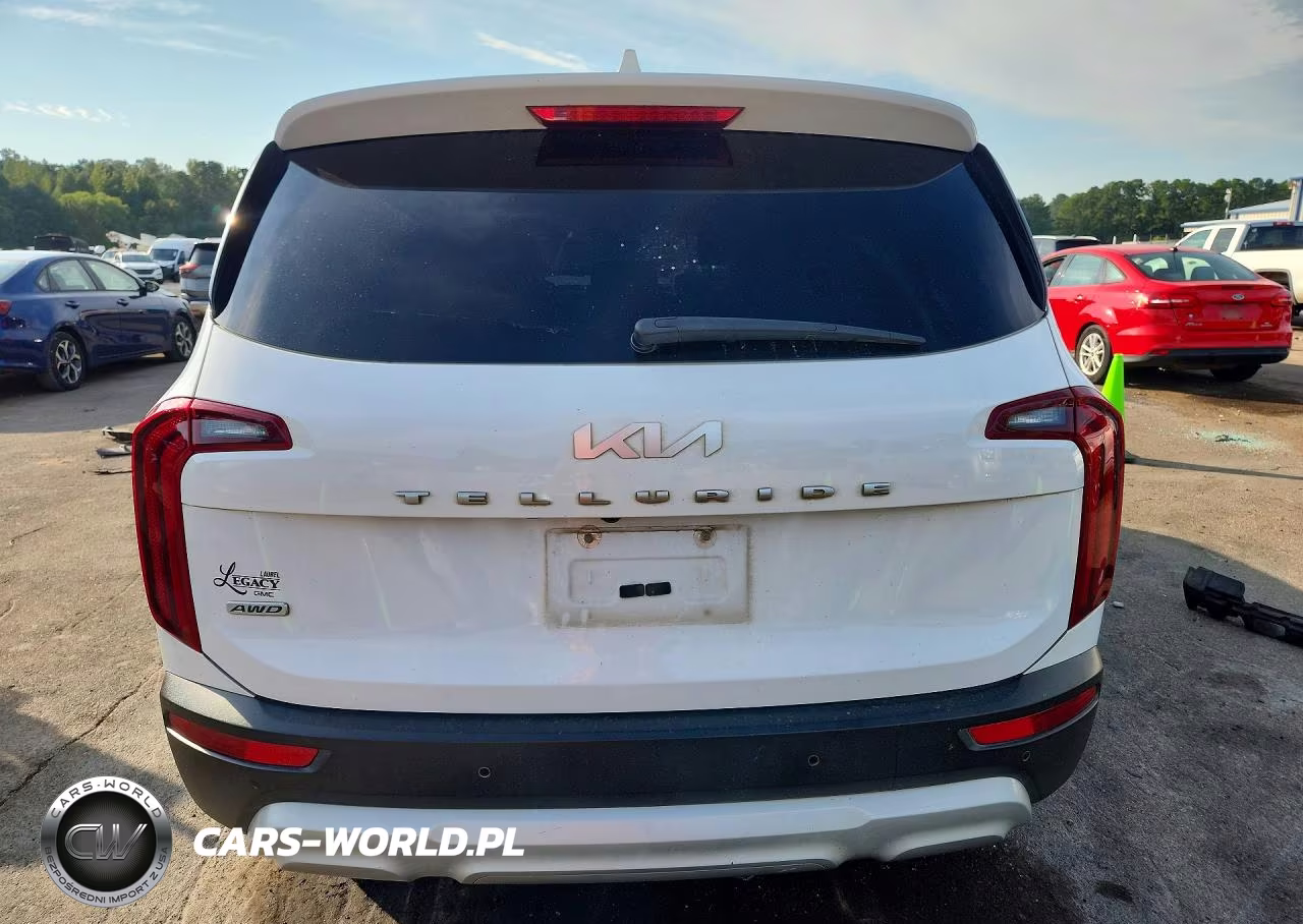 2022 Kia Telluride Lx VIN:5XYP2DHC0NG210064 - 6