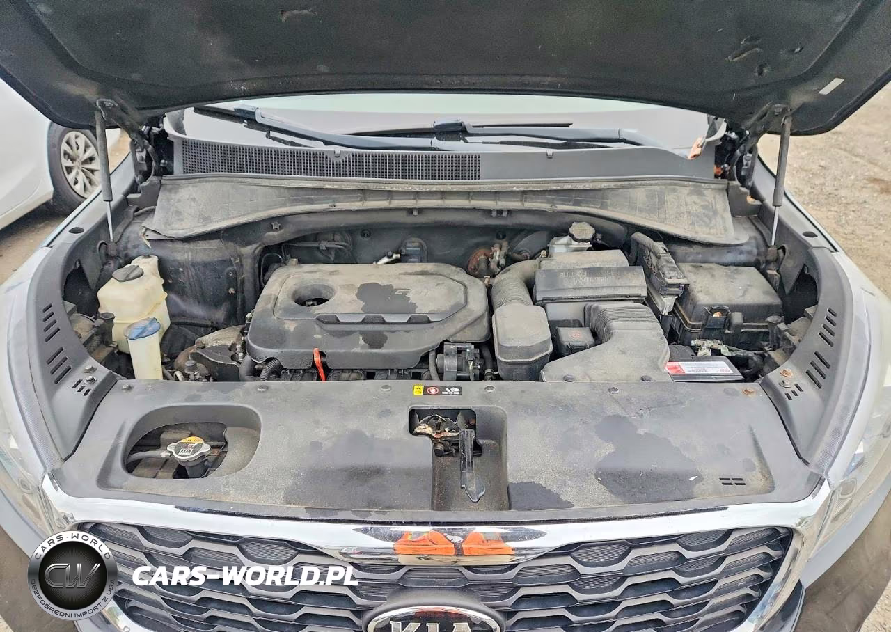 2019 Kia Sorento Lx VIN:5XYPGDA3XKG434143 - 12