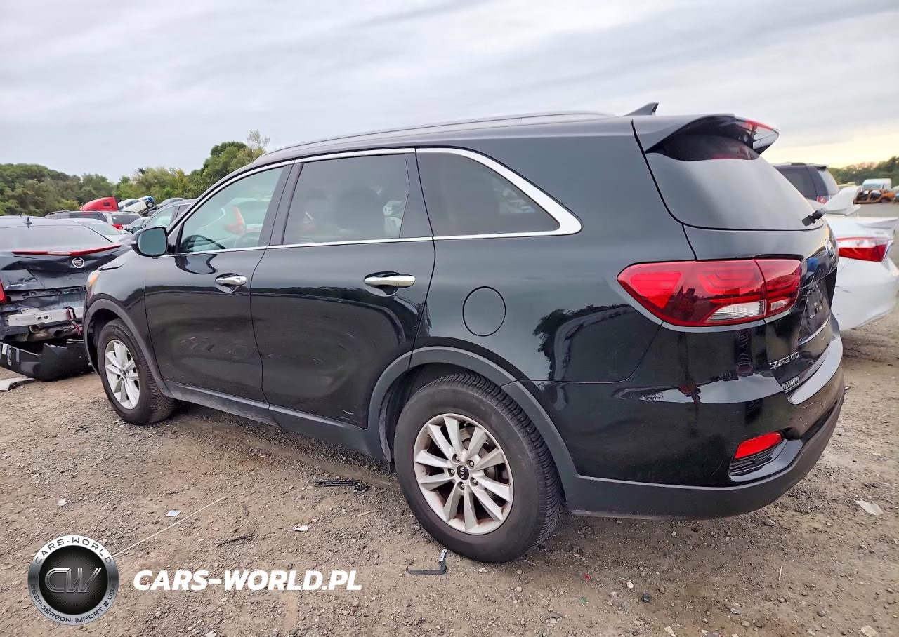 2019 Kia Sorento Lx VIN:5XYPGDA3XKG434143 - 2