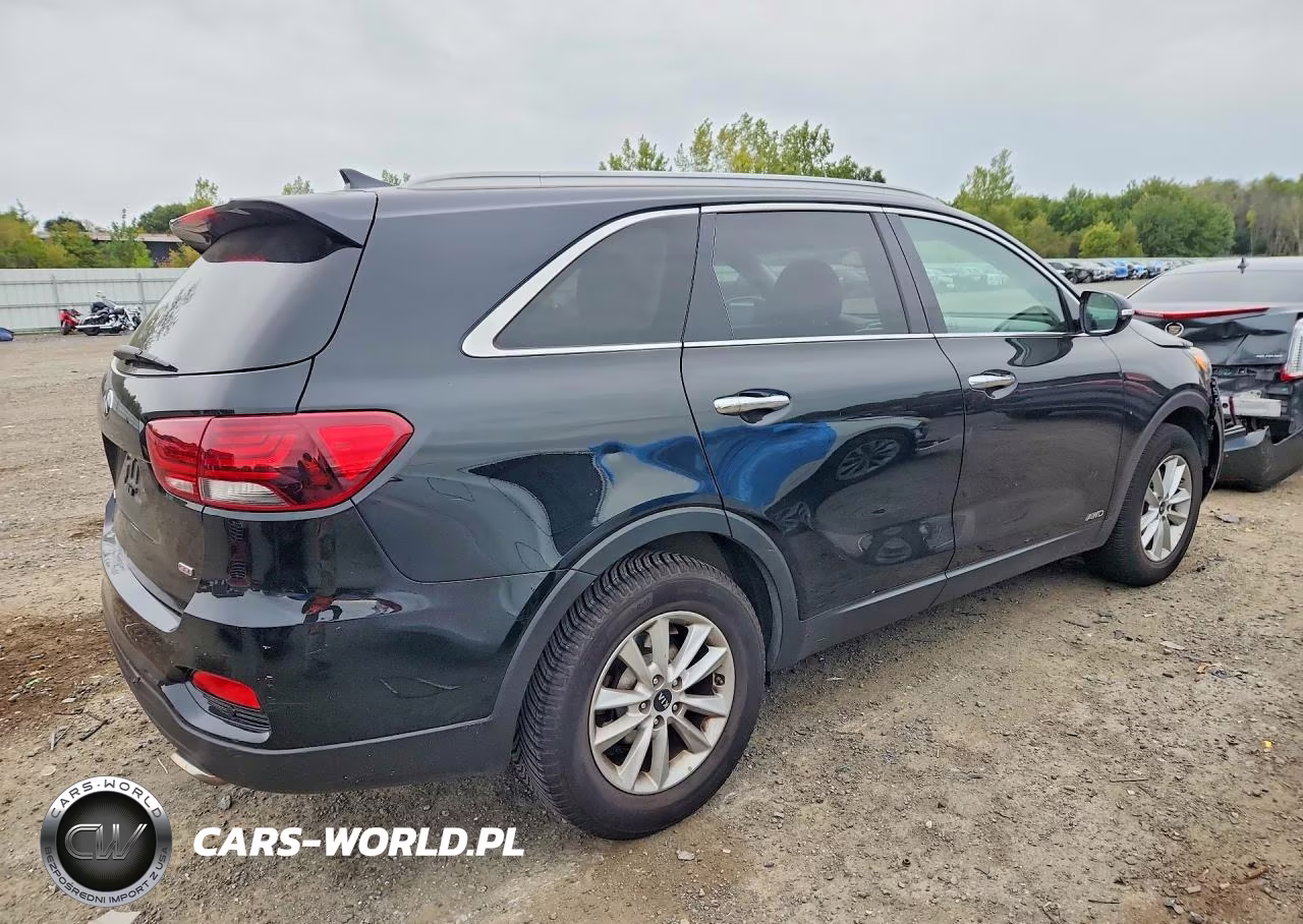 2019 Kia Sorento Lx VIN:5XYPGDA3XKG434143 - 3