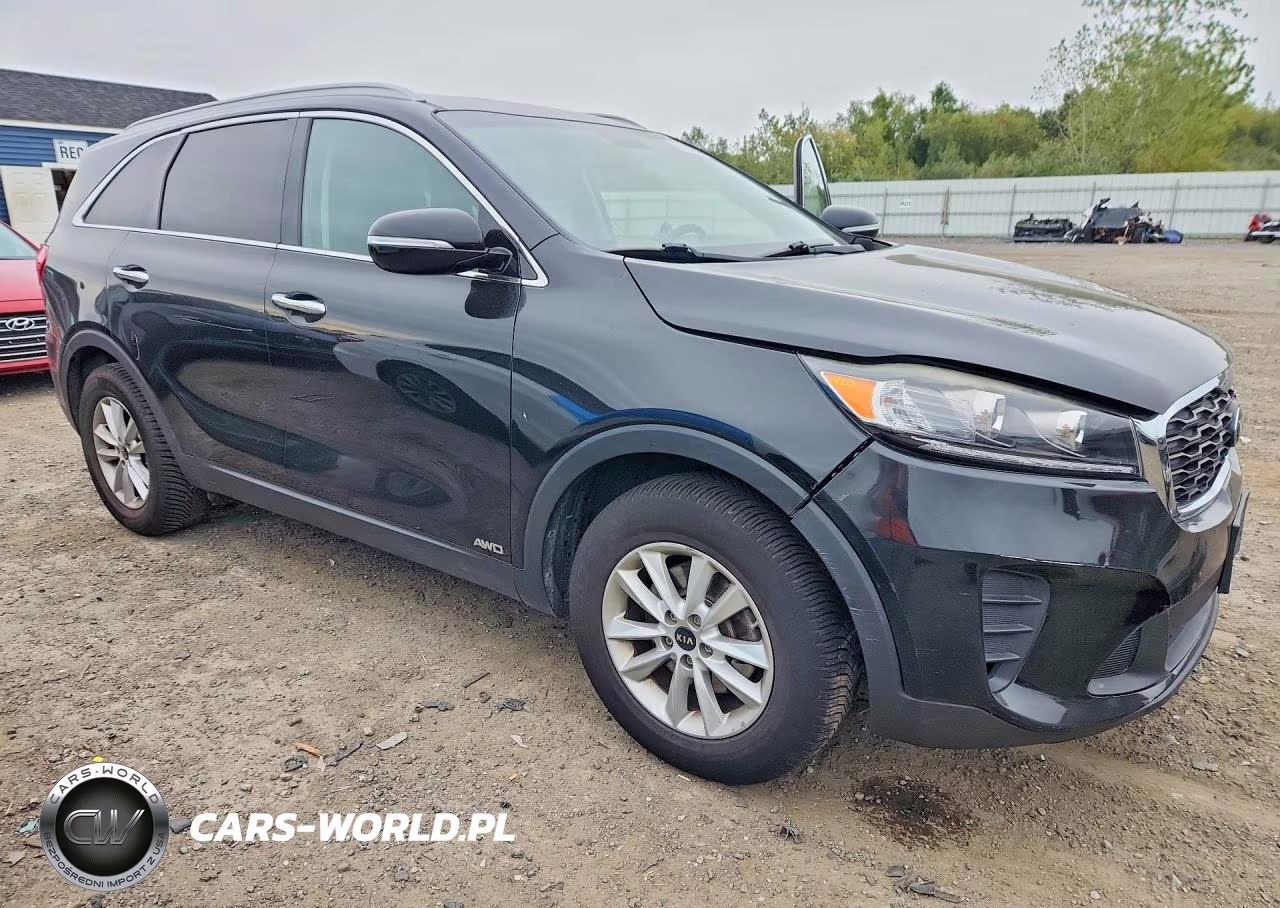 2019 Kia Sorento Lx VIN:5XYPGDA3XKG434143 - 4