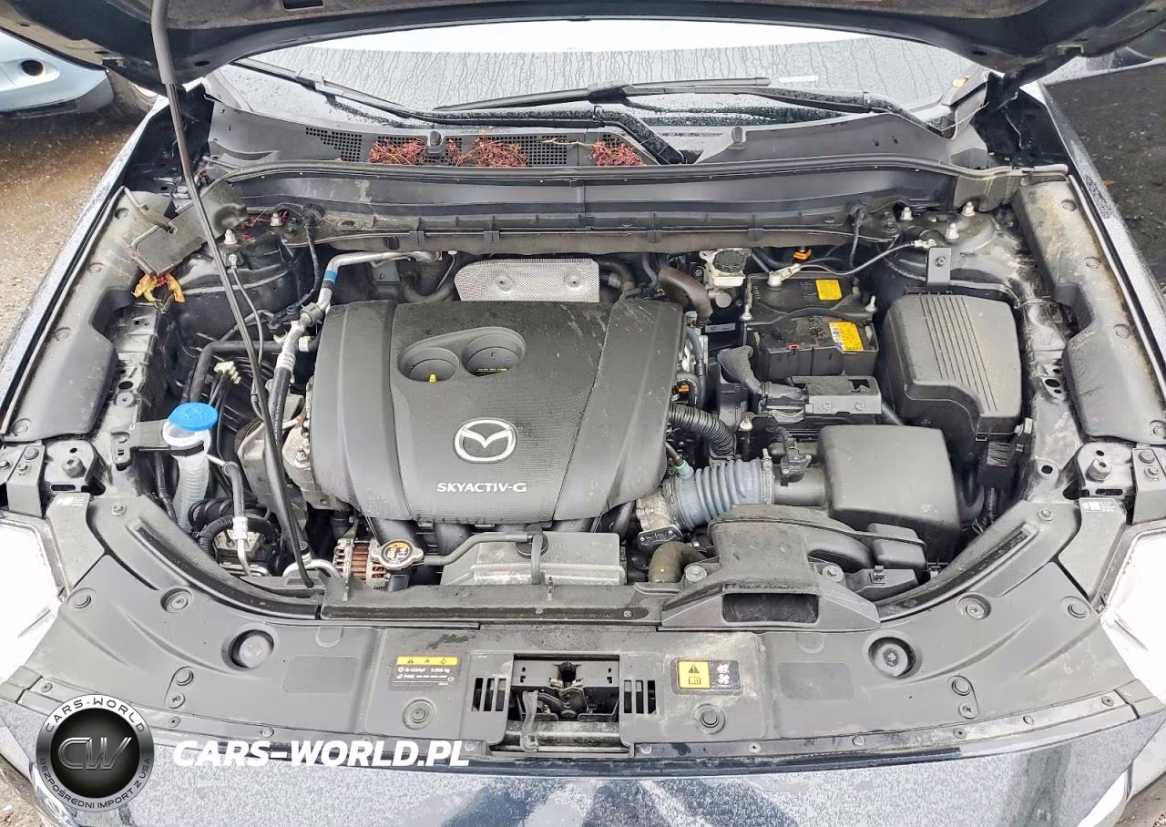 2024 Mazda Cx-5 Select VIN:JM3KFBBL6R0445535 - 12