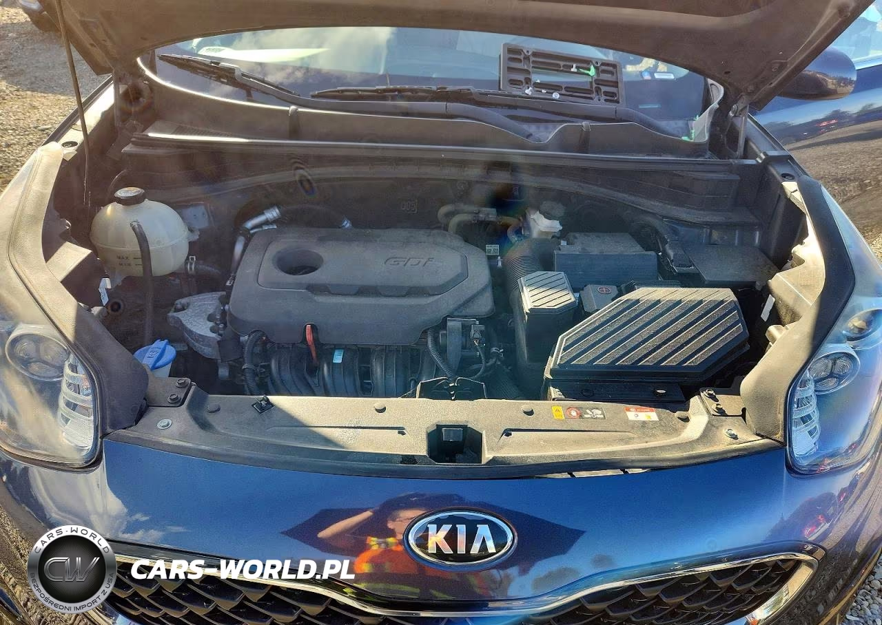 2020 Kia Sportage Lx VIN:KNDPM3ACXL7684435 - 12
