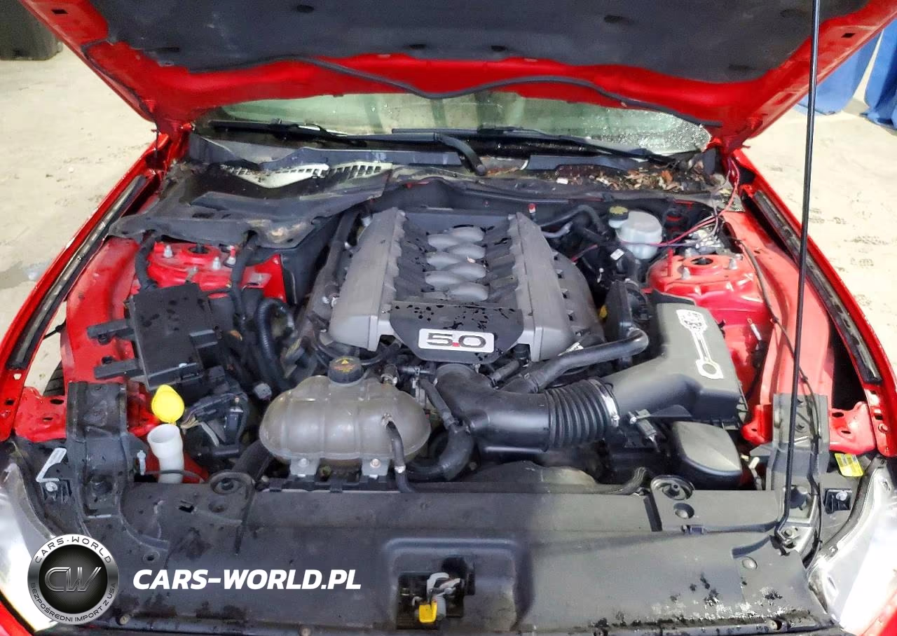 2015 Ford Mustang Gt VIN:1FA6P8CF8F5321810 - 11