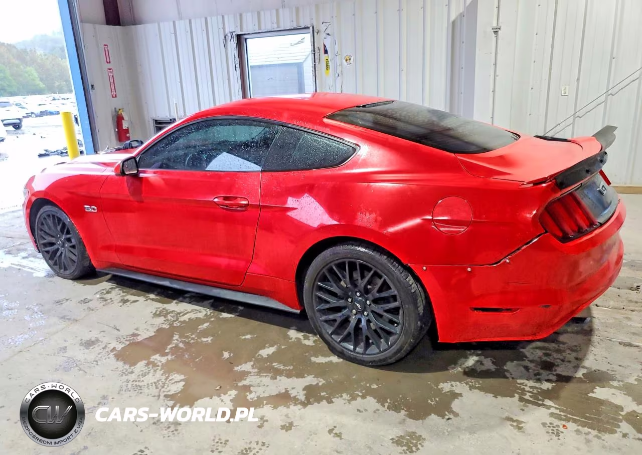 2015 Ford Mustang Gt VIN:1FA6P8CF8F5321810 - 2