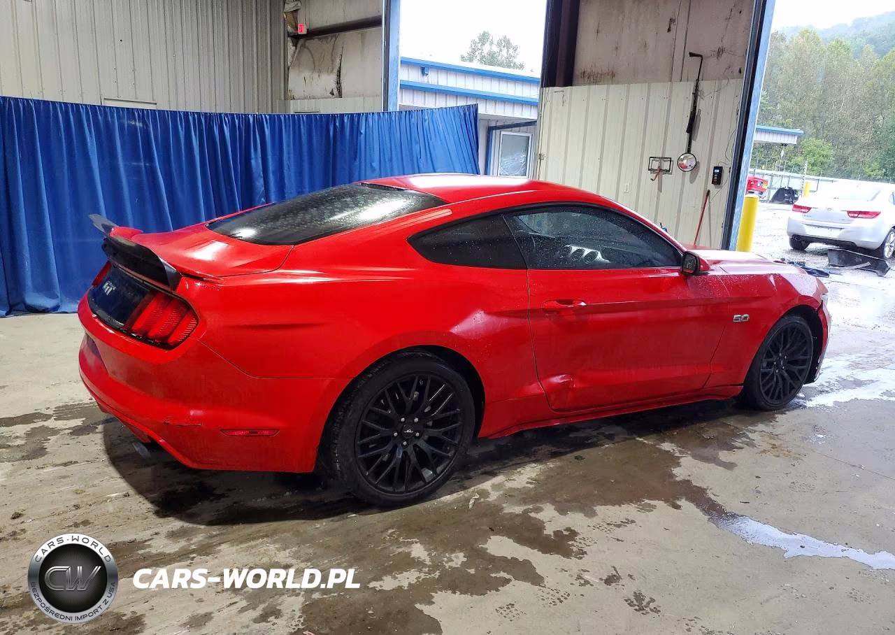 2015 Ford Mustang Gt VIN:1FA6P8CF8F5321810 - 3
