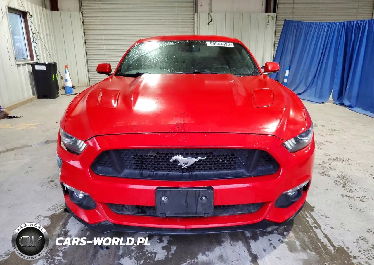 2015 Ford Mustang Gt VIN:1FA6P8CF8F5321810 - 5