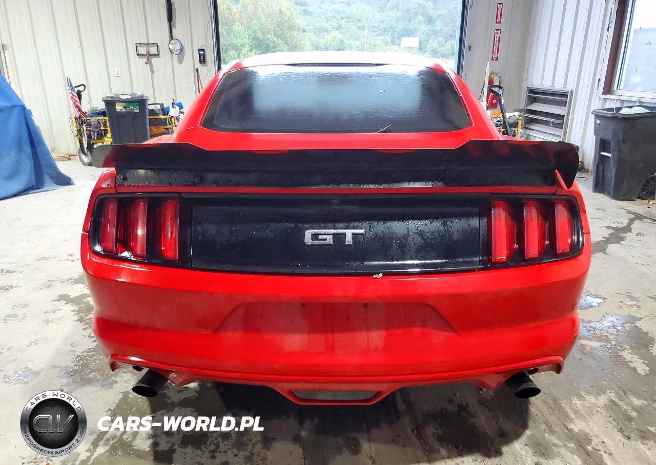 2015 Ford Mustang Gt VIN:1FA6P8CF8F5321810 - 6