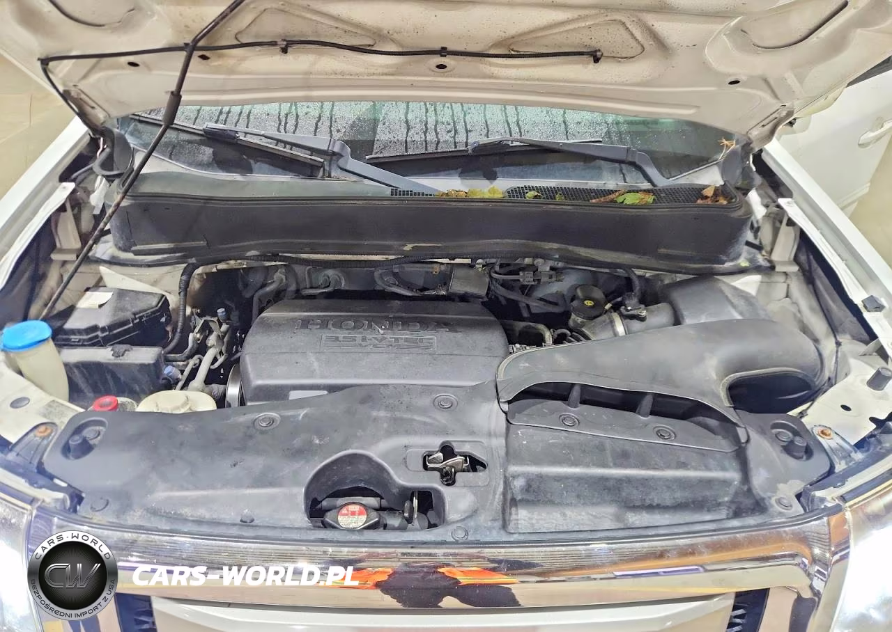 2011 Honda Pilot Exl VIN:5FNYF4H52BB001373 - 12