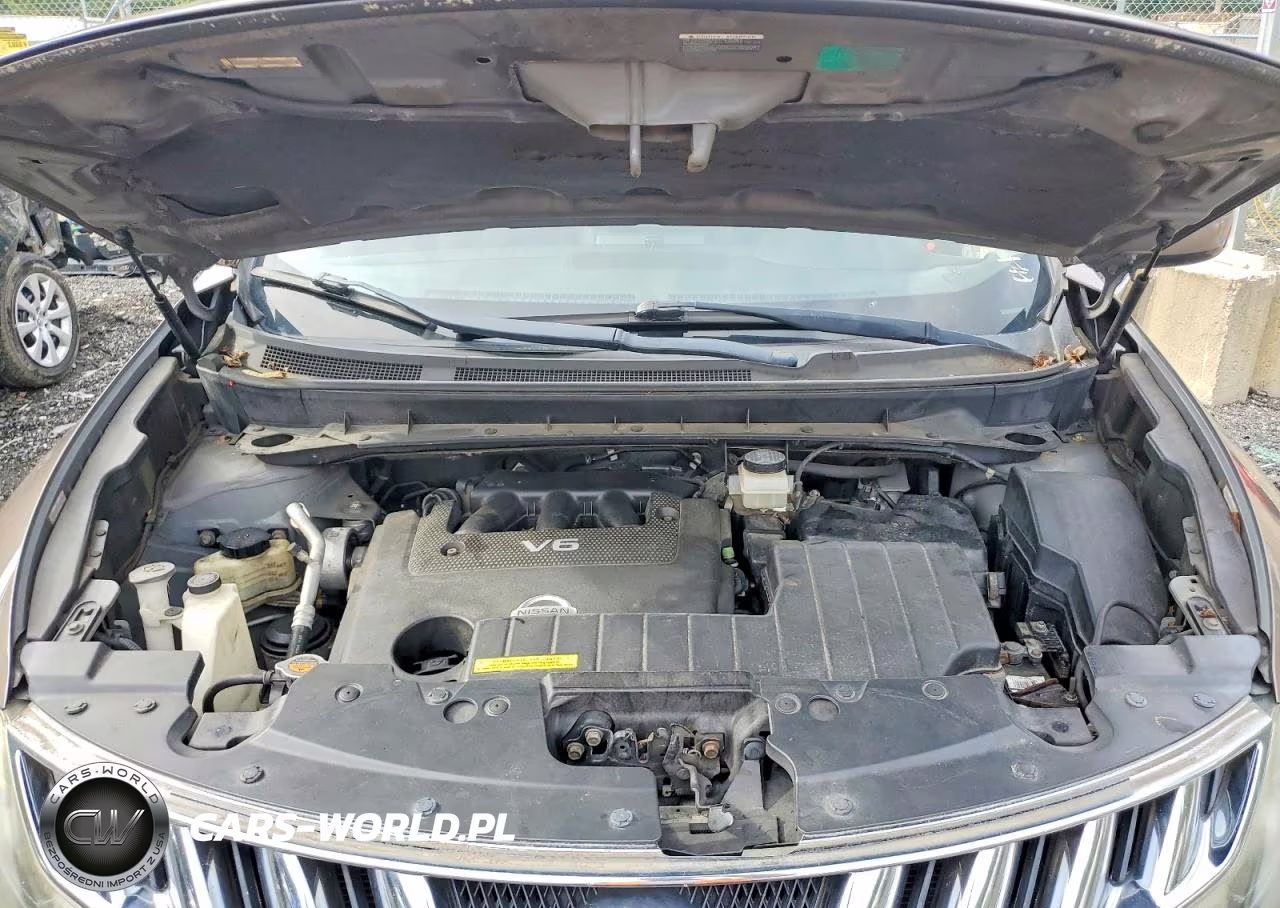 2009 Nissan Murano S VIN:JN8AZ18W99W110312 - 11