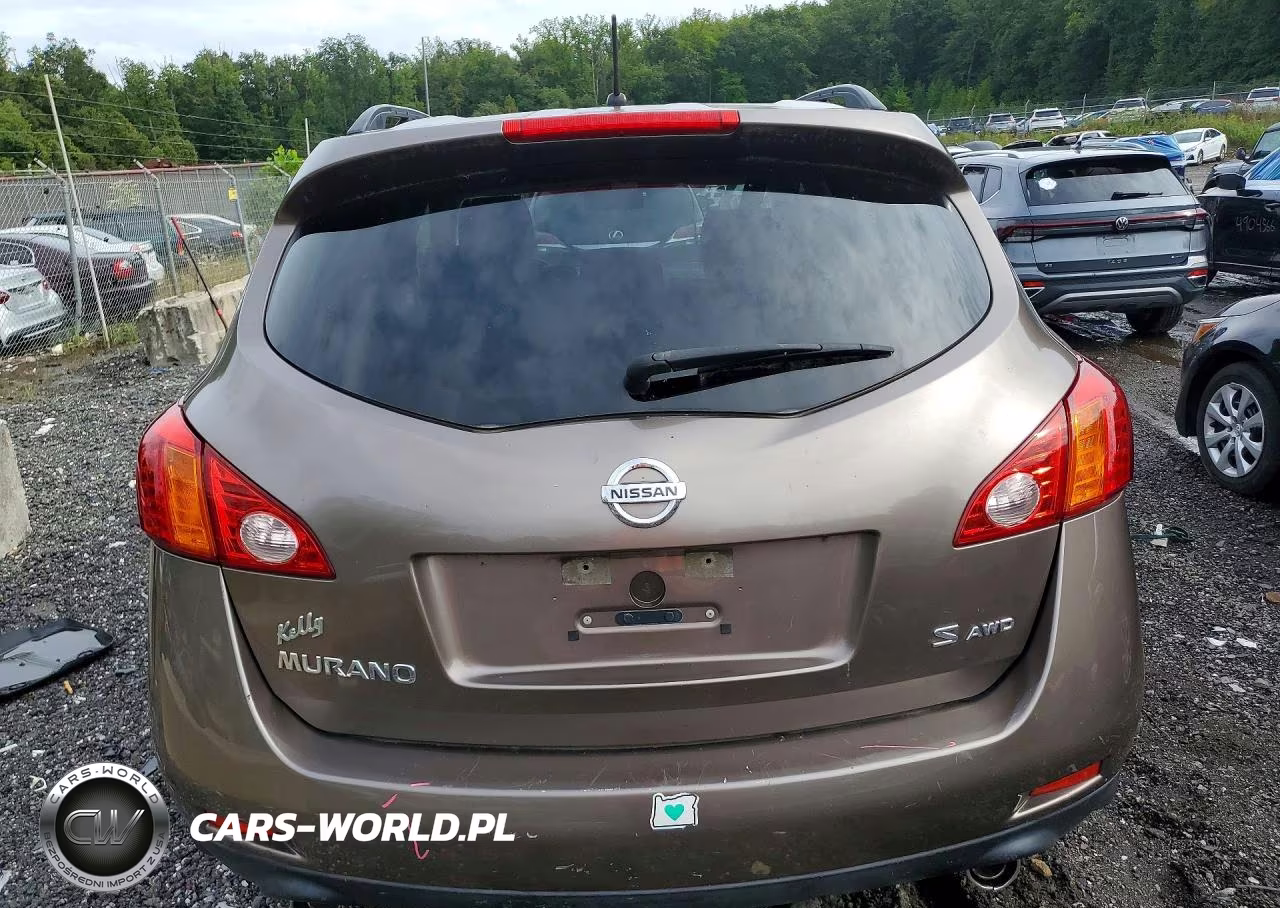 2009 Nissan Murano S VIN:JN8AZ18W99W110312 - 6