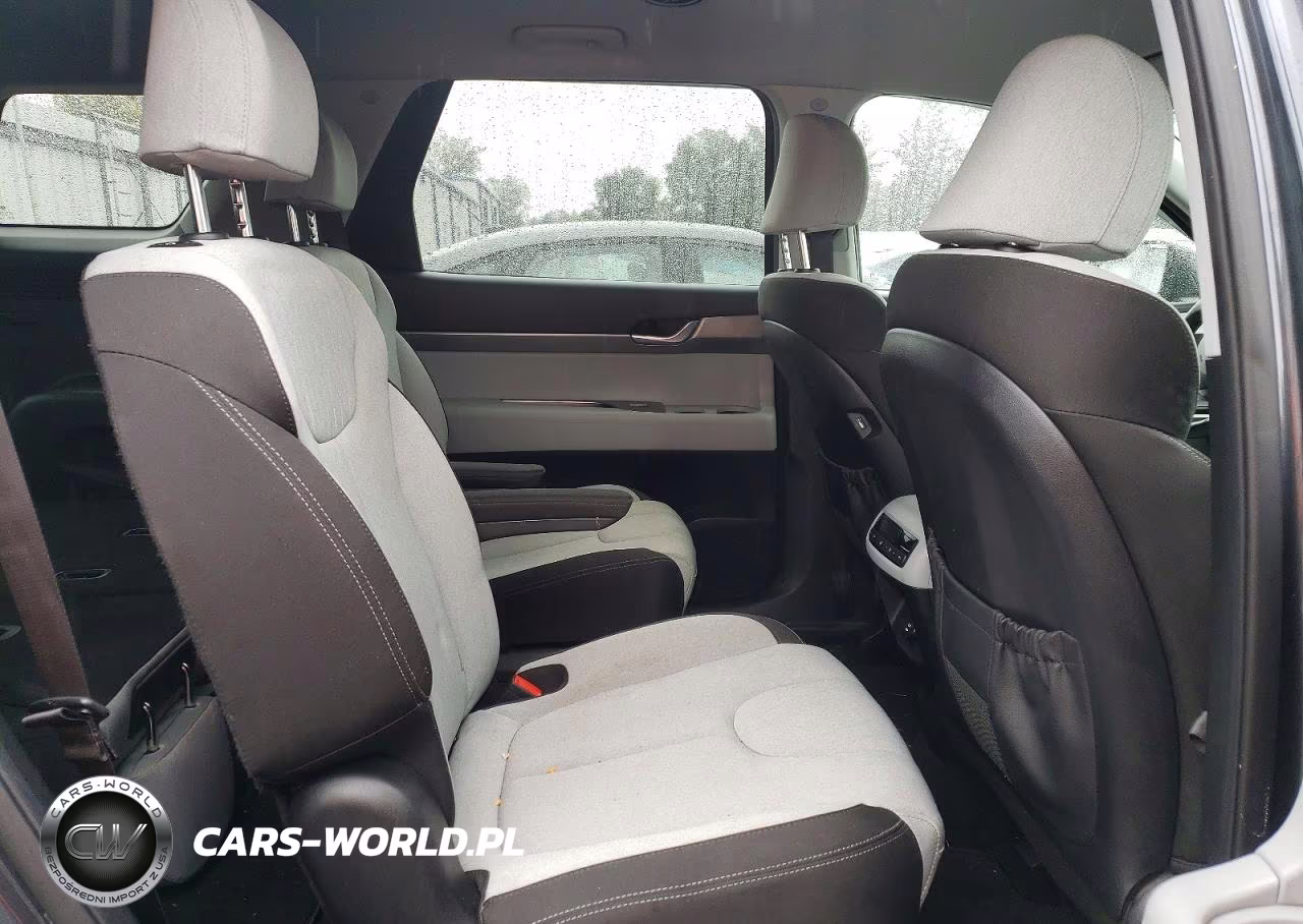 2020 Hyundai Palisade Sel VIN:KM8R2DHE1LU054067 - 11