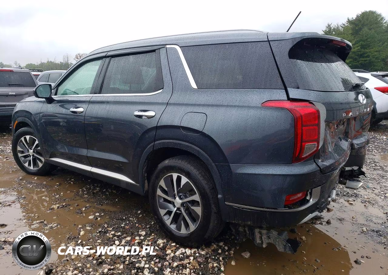 2020 Hyundai Palisade Sel VIN:KM8R2DHE1LU054067 - 2