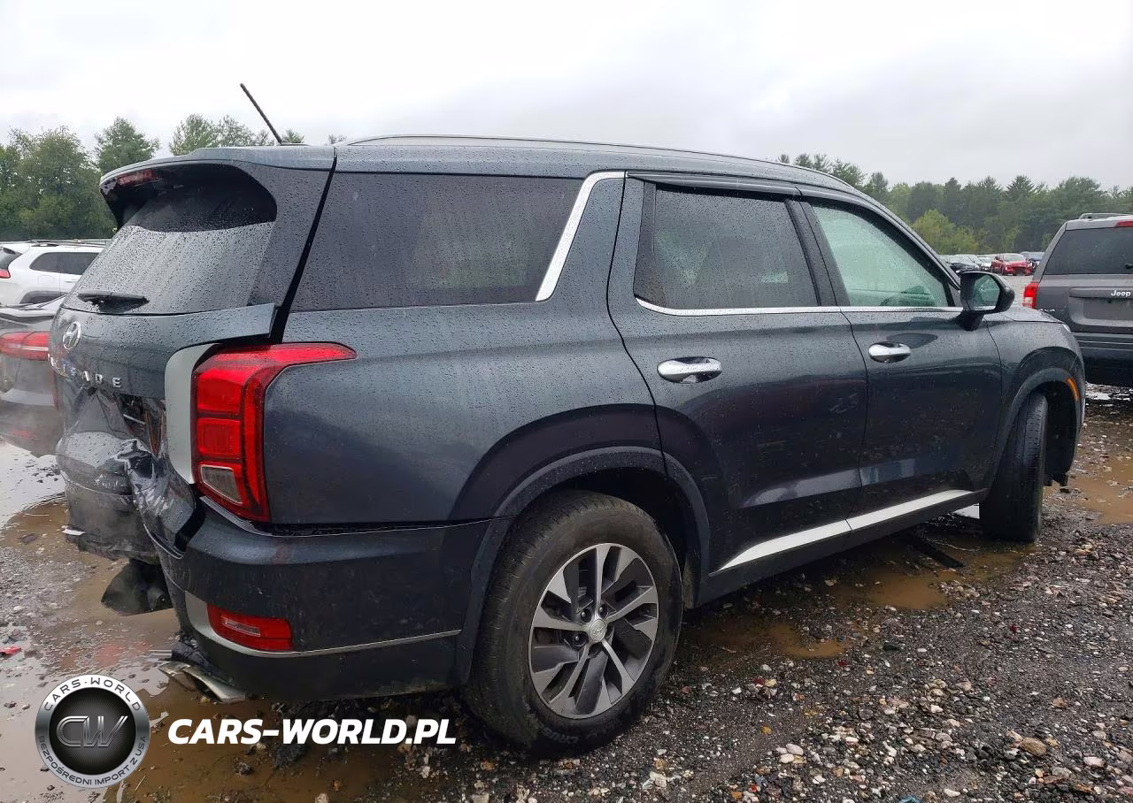 2020 Hyundai Palisade Sel VIN:KM8R2DHE1LU054067 - 3