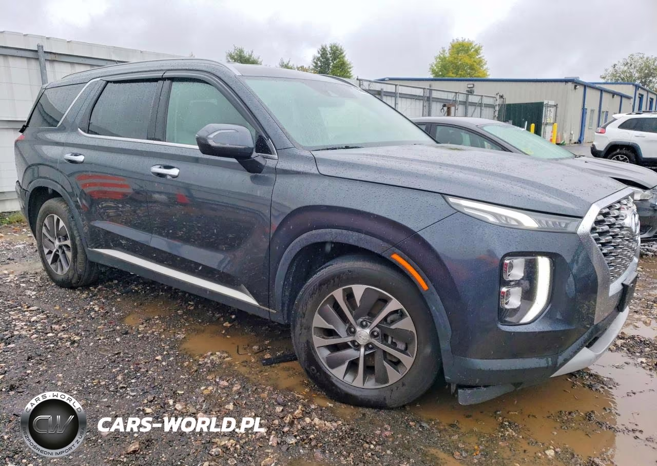 2020 Hyundai Palisade Sel VIN:KM8R2DHE1LU054067 - 4