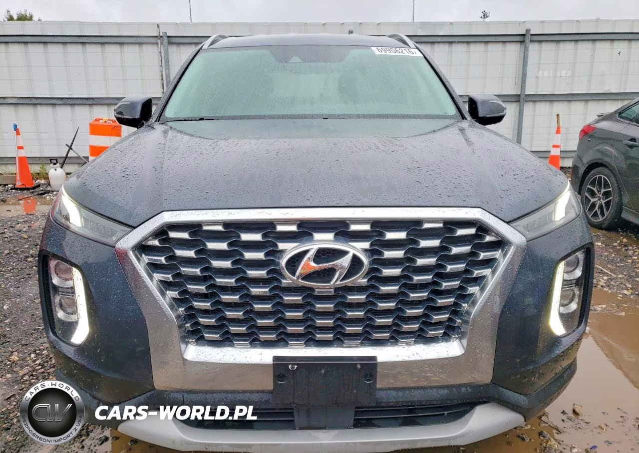 2020 Hyundai Palisade Sel VIN:KM8R2DHE1LU054067 - 5