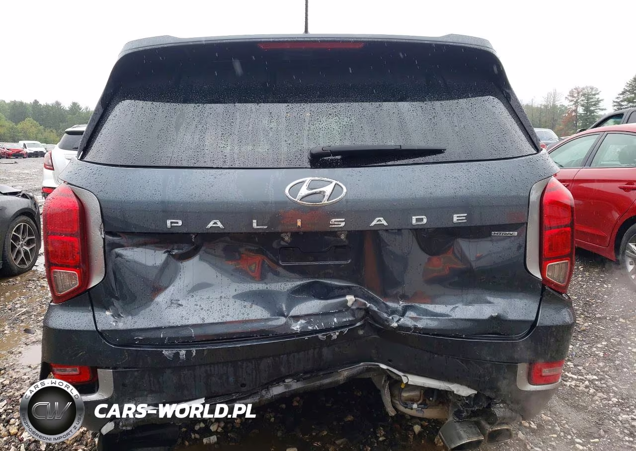 2020 Hyundai Palisade Sel VIN:KM8R2DHE1LU054067 - 6