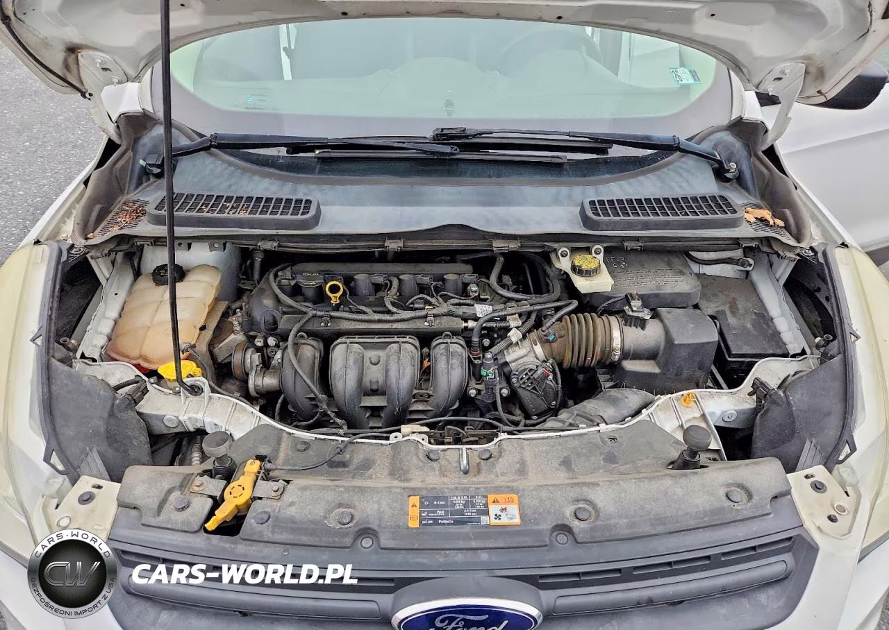 2014 Ford Escape S VIN:1FMCU0F7XEUB54149 - 12