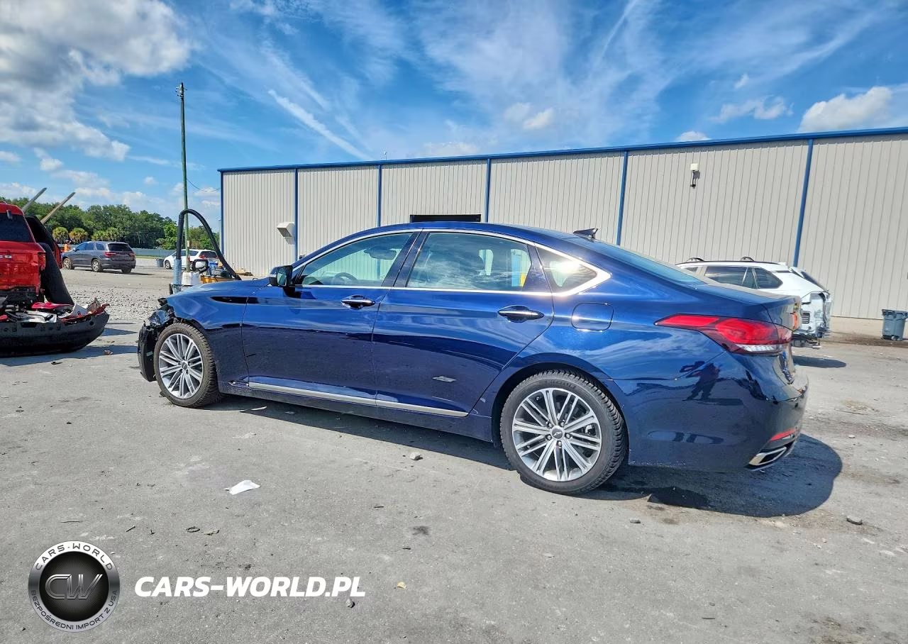 2019 Genesis G80 3.8 VIN:KMHGN4JE9KU292174 - 2