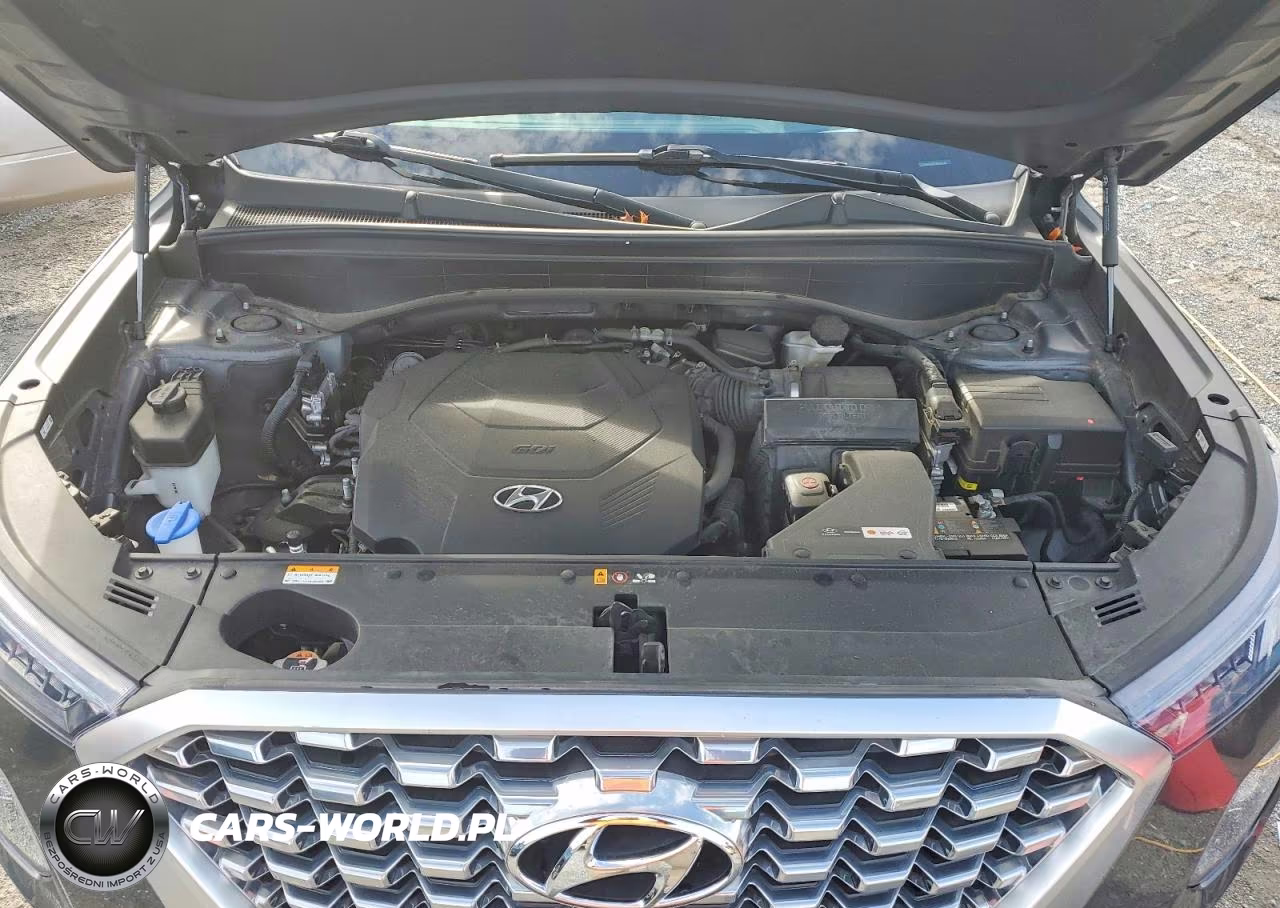 2021 Hyundai Palisade Limited VIN:KM8R5DHE7MU292143 - 12