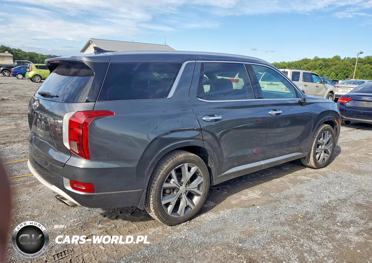 2021 Hyundai Palisade Limited VIN:KM8R5DHE7MU292143 - 3