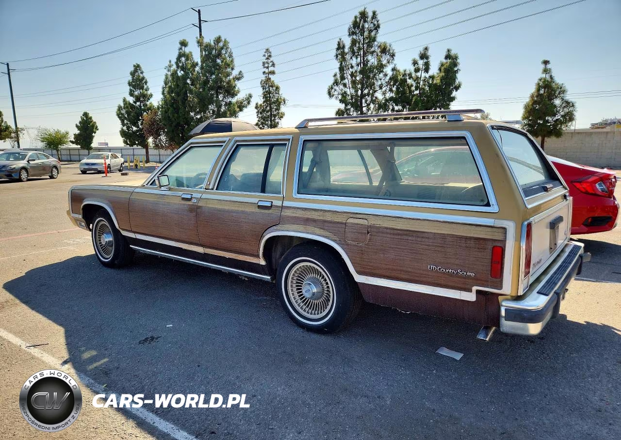 1991 Ford Crown Victoria Country Squire Lx VIN:2FACP79FXMX149215 - 2