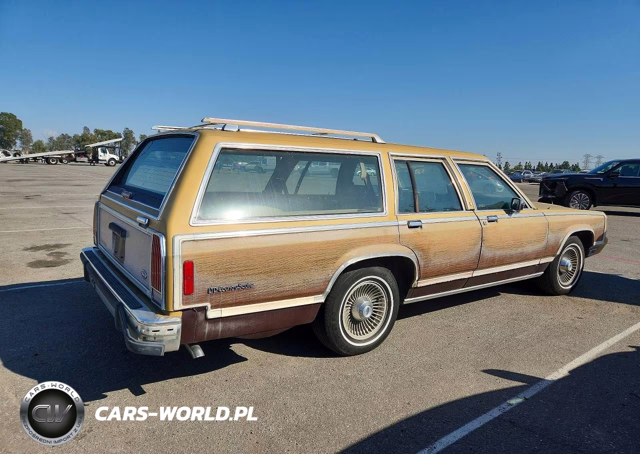 1991 Ford Crown Victoria Country Squire Lx VIN:2FACP79FXMX149215 - 3