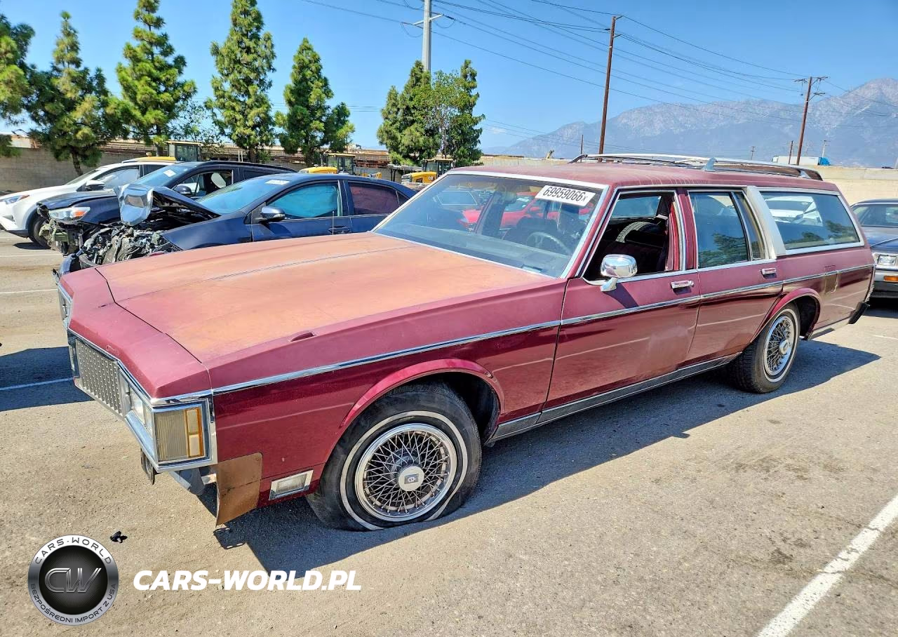 1989 Oldsmobile Custom Cruiser – zdjęcie 1 z 12