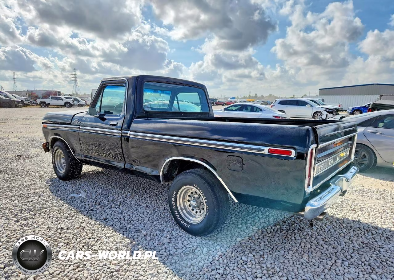 1978 Ford F100 VIN:F10GNBE6485 - 2