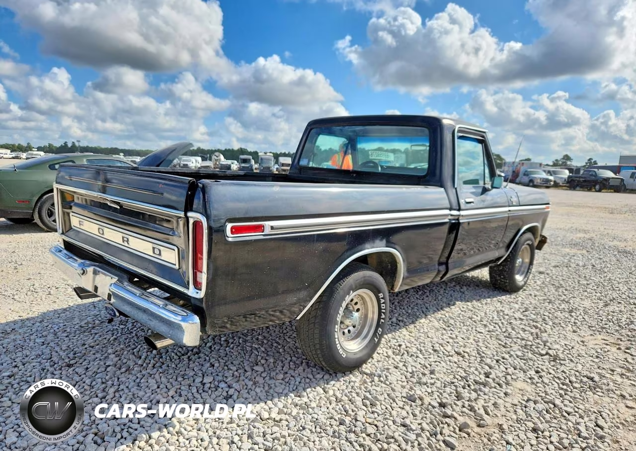 1978 Ford F100 VIN:F10GNBE6485 - 3