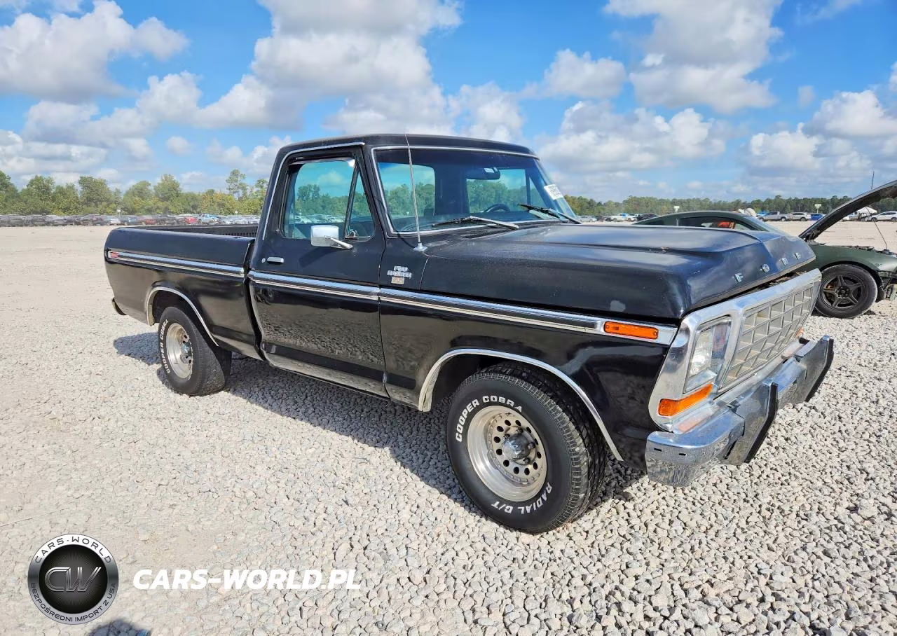 1978 Ford F100 VIN:F10GNBE6485 - 4
