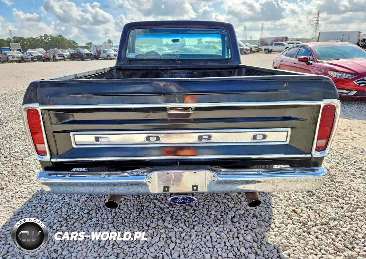 1978 Ford F100 VIN:F10GNBE6485 - 6