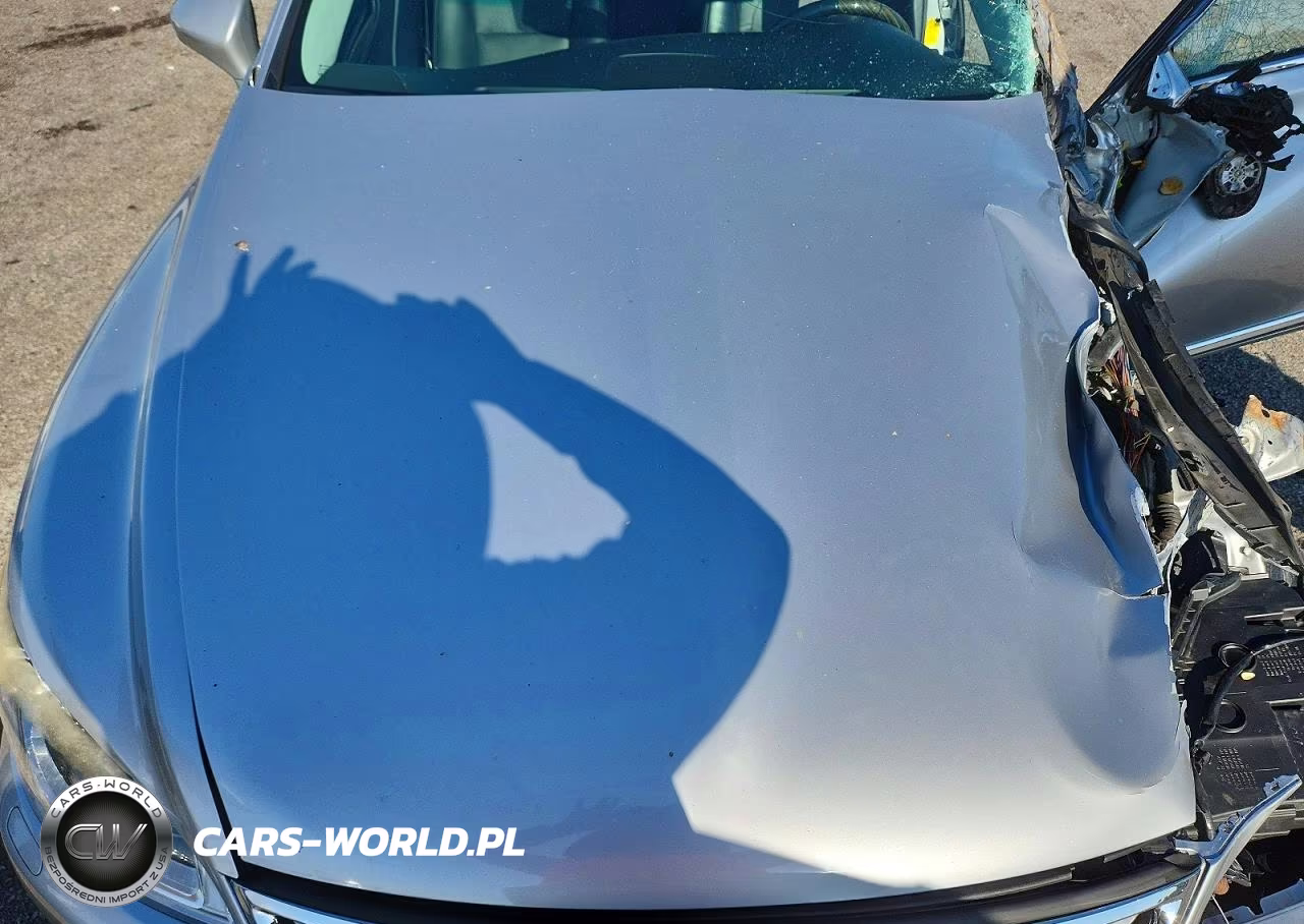 2014 Lexus Ls 460 VIN:JTHBL5EF7E5131252 - 11