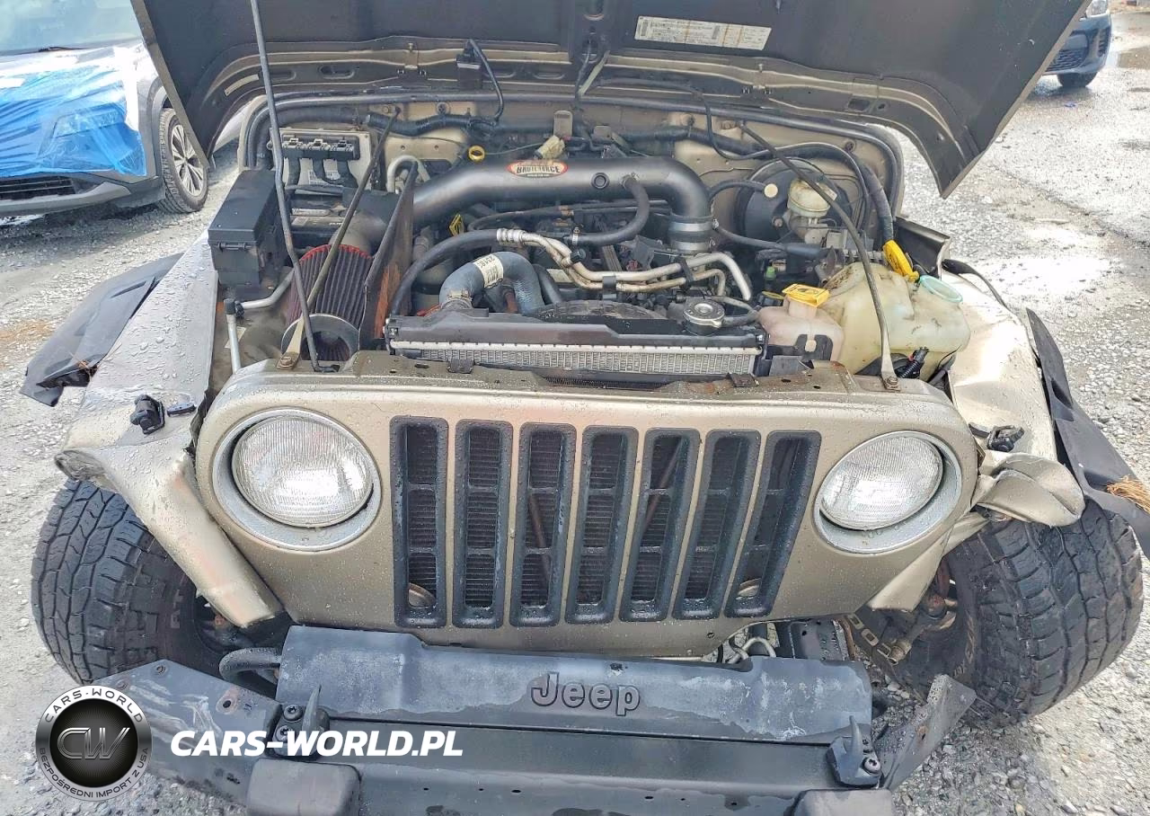 2003 Jeep Wrangler - Tj Sport VIN:1J4FA49S33P314413 - 11