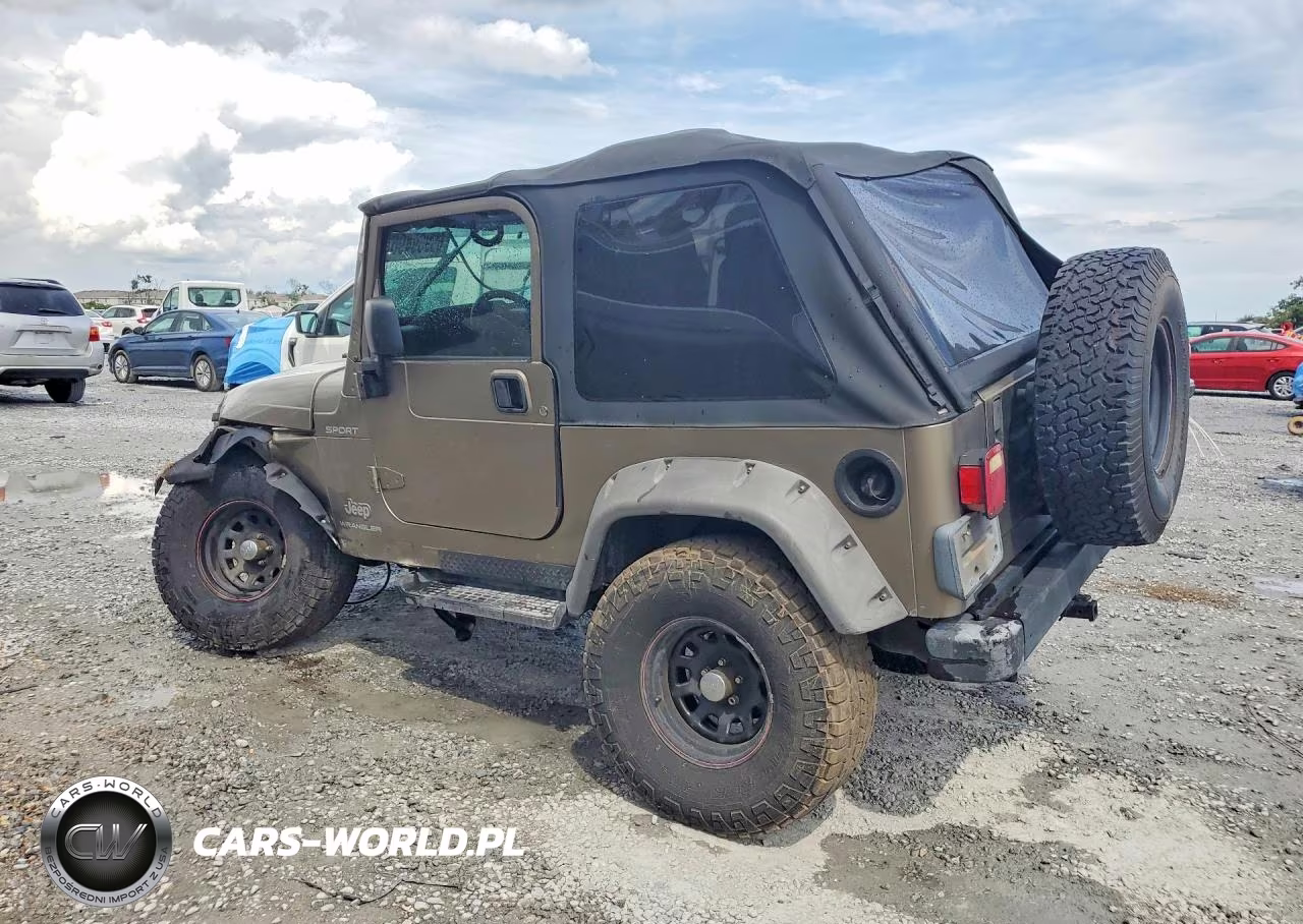 2003 Jeep Wrangler - Tj Sport VIN:1J4FA49S33P314413 - 2