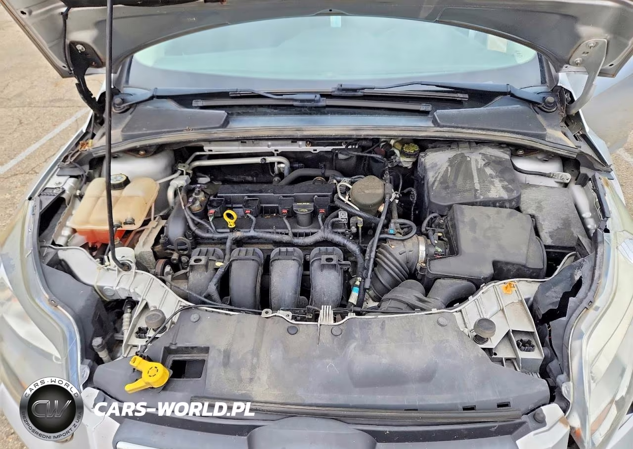 2013 Ford Focus Se VIN:1FADP3F21DL289617 - 11