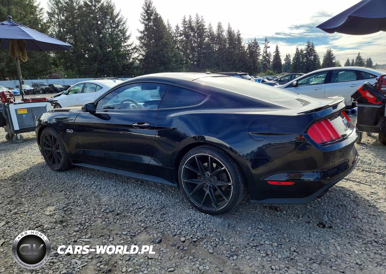 2015 Ford Mustang Gt VIN:1FA6P8CF6F5382766 - 2