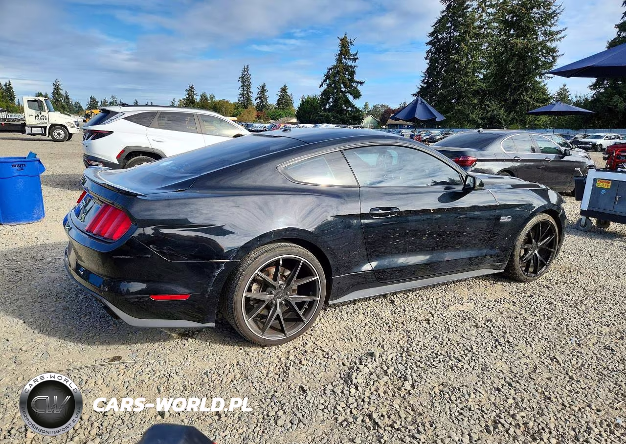 2015 Ford Mustang Gt VIN:1FA6P8CF6F5382766 - 3