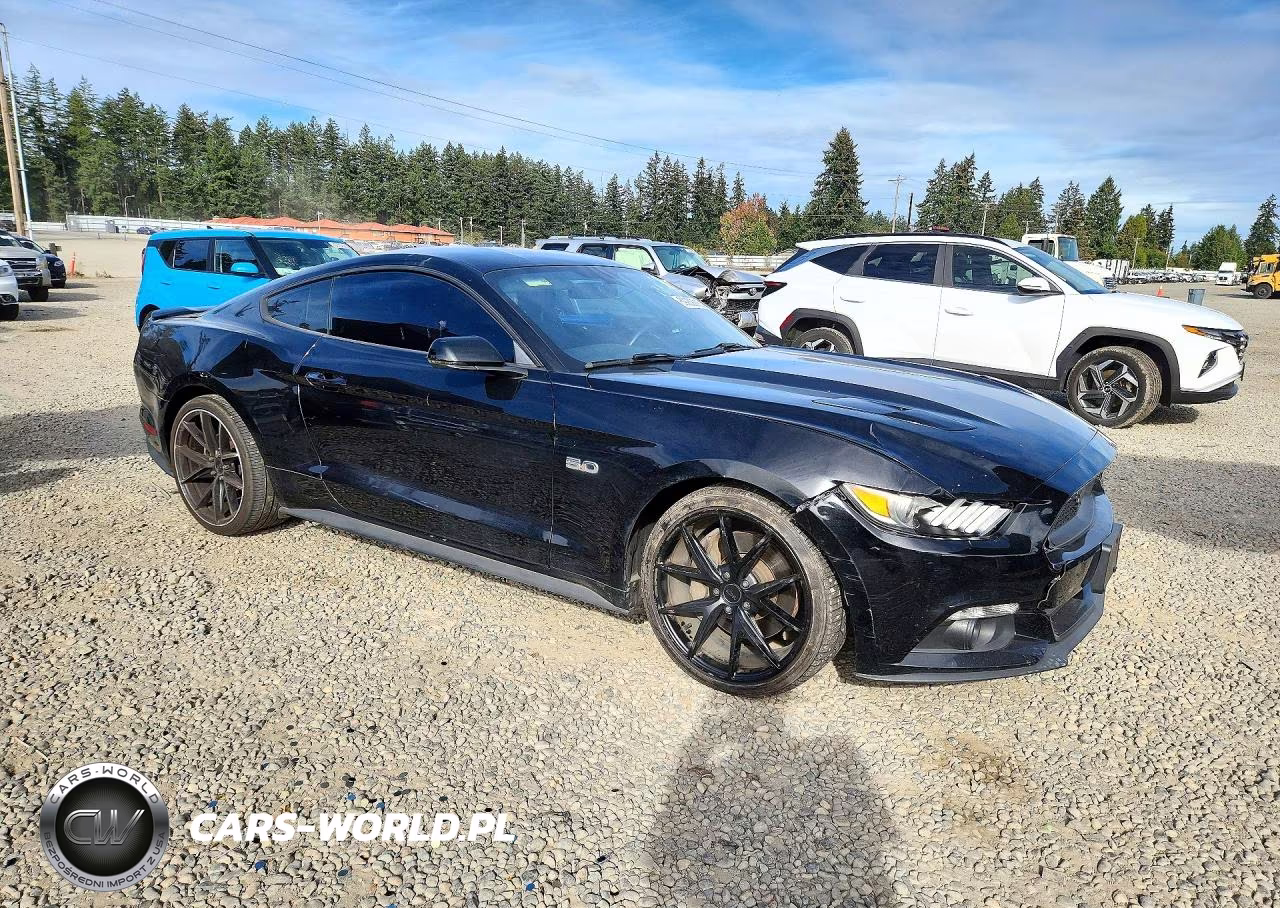 2015 Ford Mustang Gt VIN:1FA6P8CF6F5382766 - 4