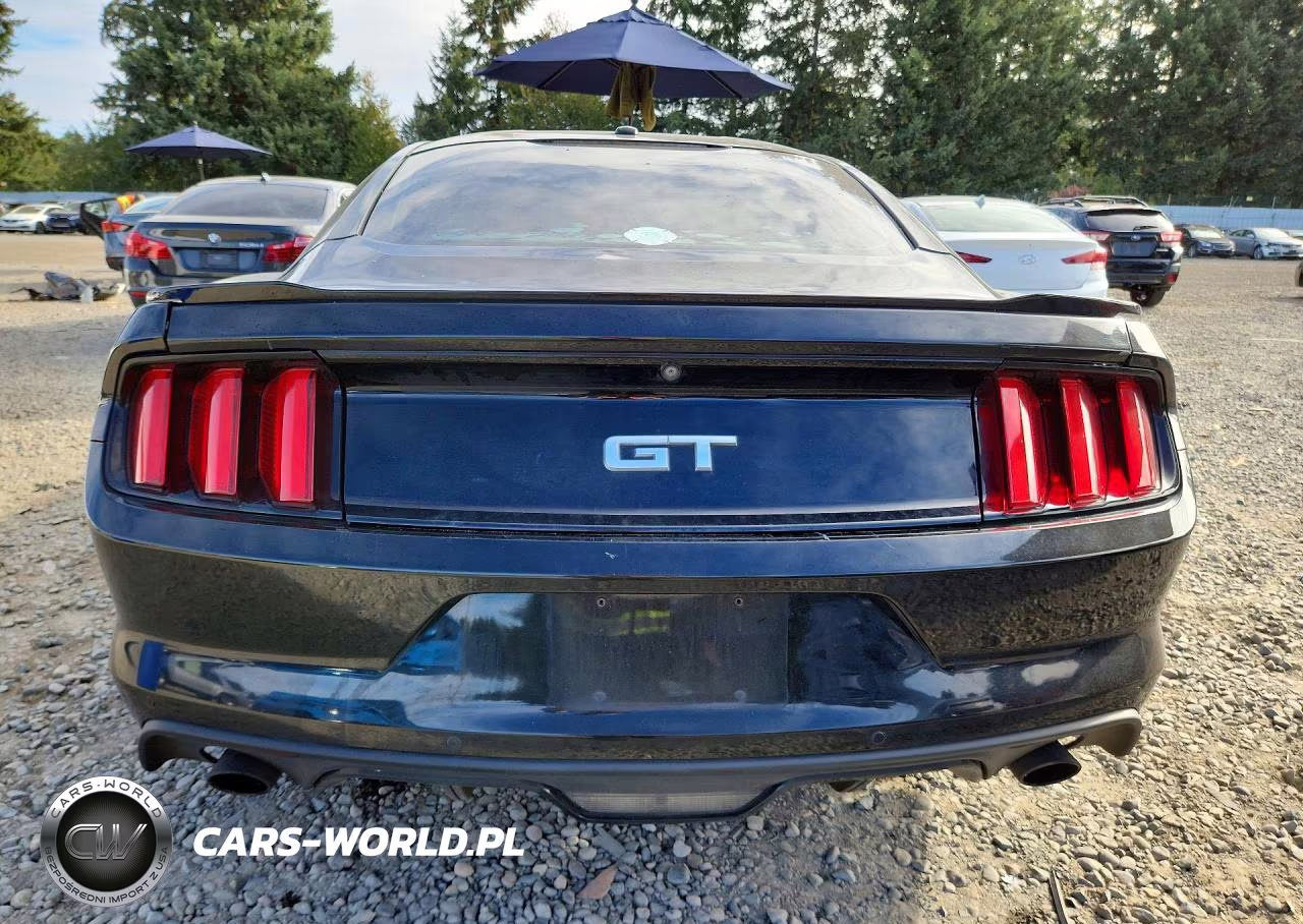 2015 Ford Mustang Gt VIN:1FA6P8CF6F5382766 - 6