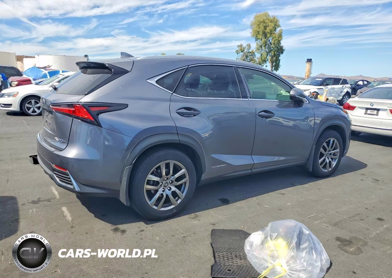 2020 Lexus Nx 300H VIN:JTJGJRDZXL2140796 - 3