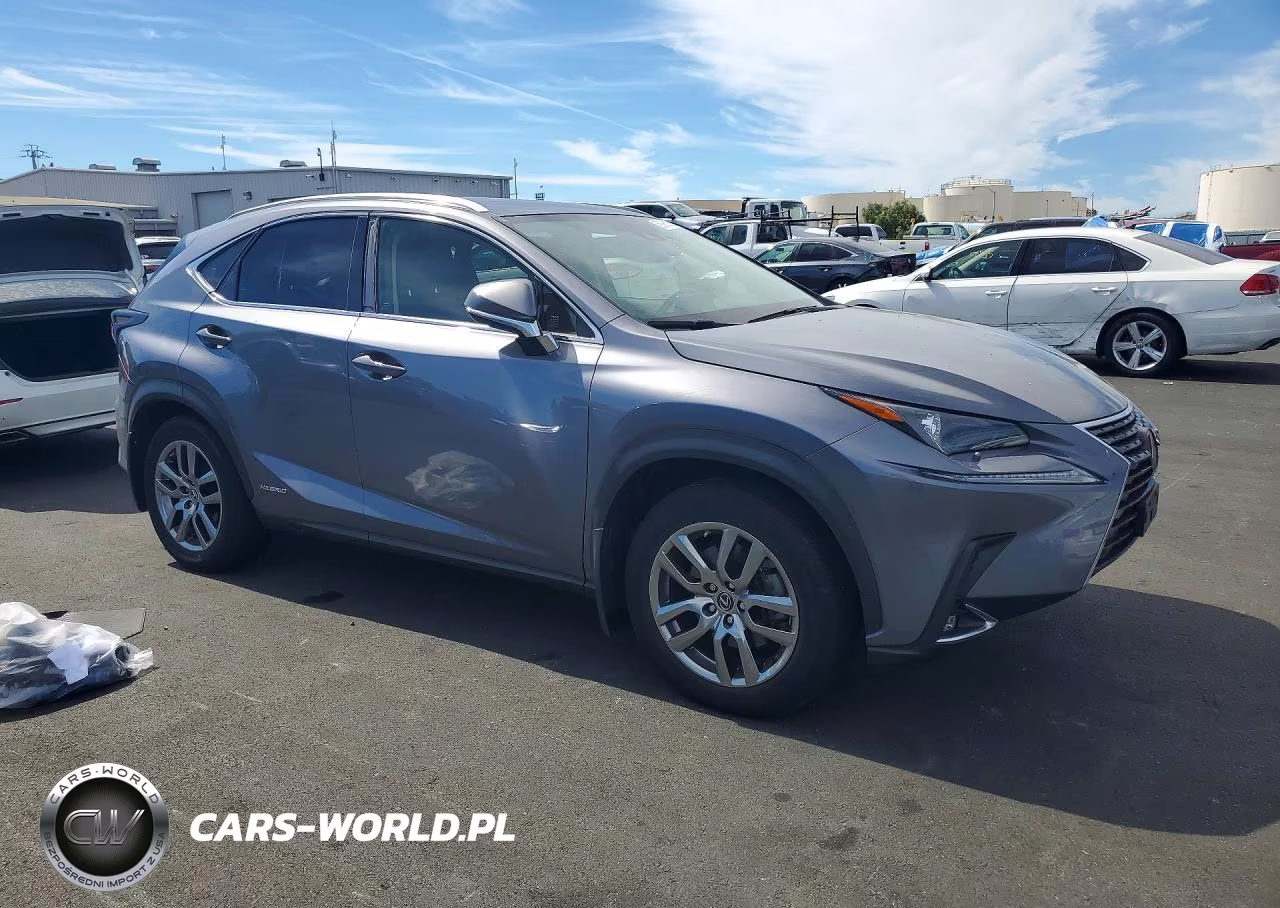 2020 Lexus Nx 300H VIN:JTJGJRDZXL2140796 - 4