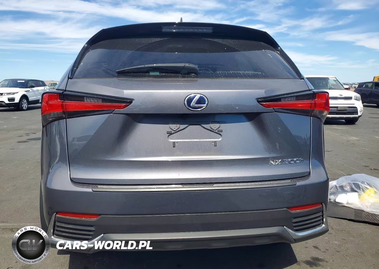 2020 Lexus Nx 300H VIN:JTJGJRDZXL2140796 - 6
