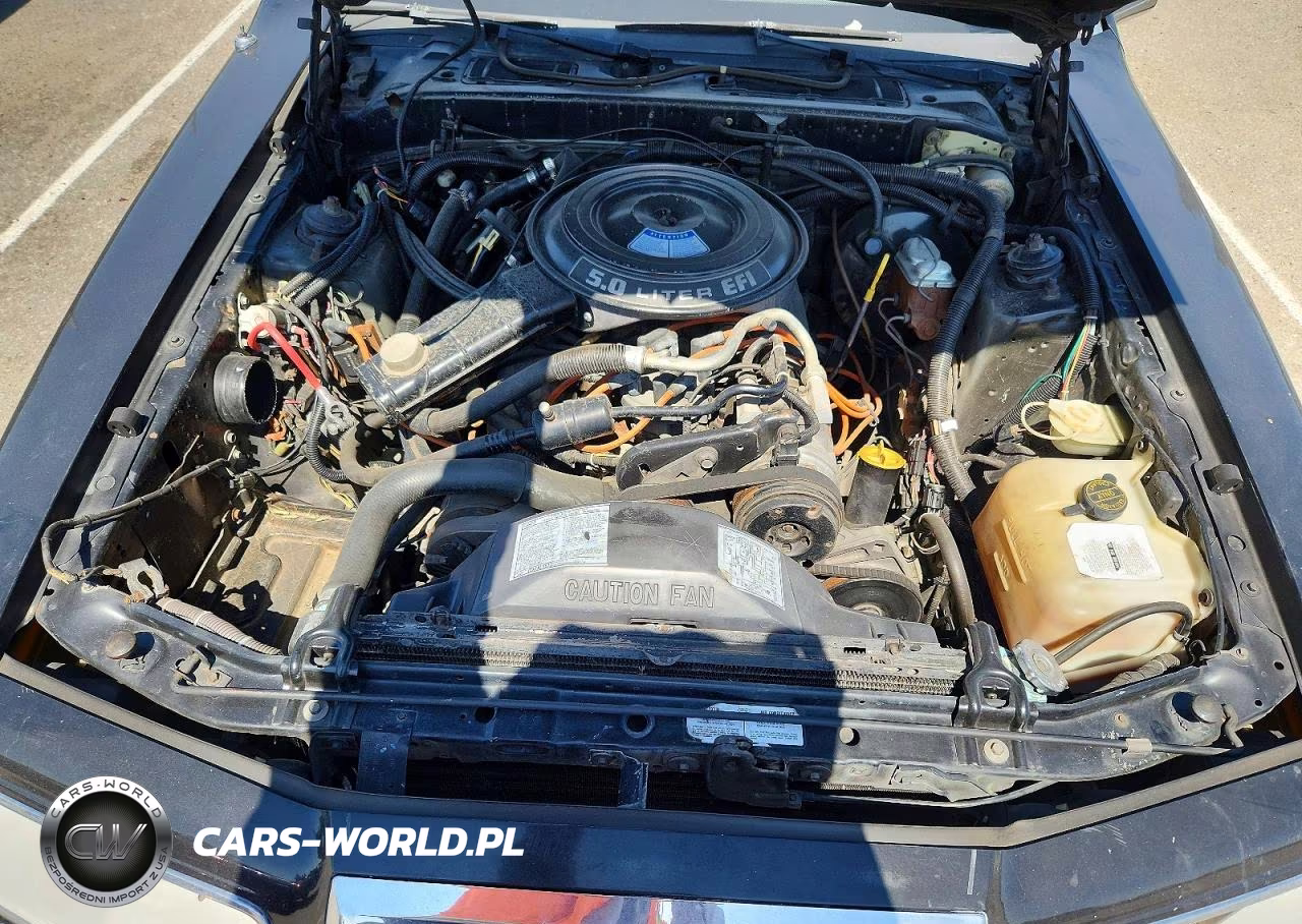1984 Ford Thunderbird VIN:1FABP46F0EH203542 - 11
